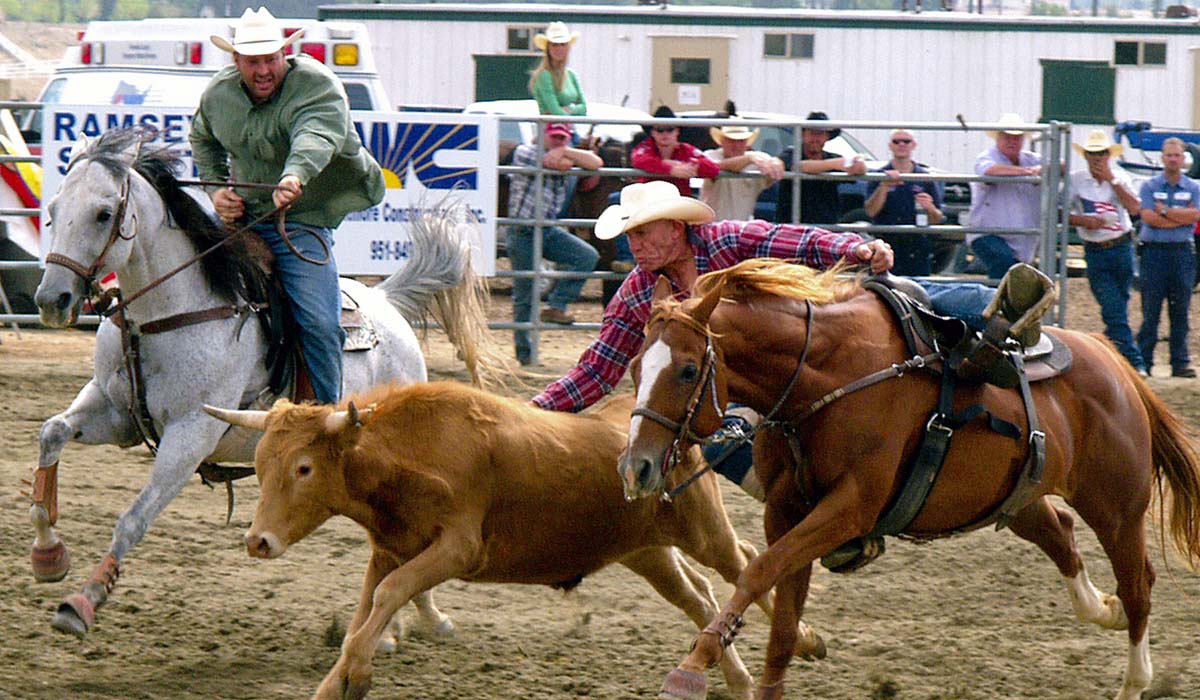 PRCA Pro Rodeo image